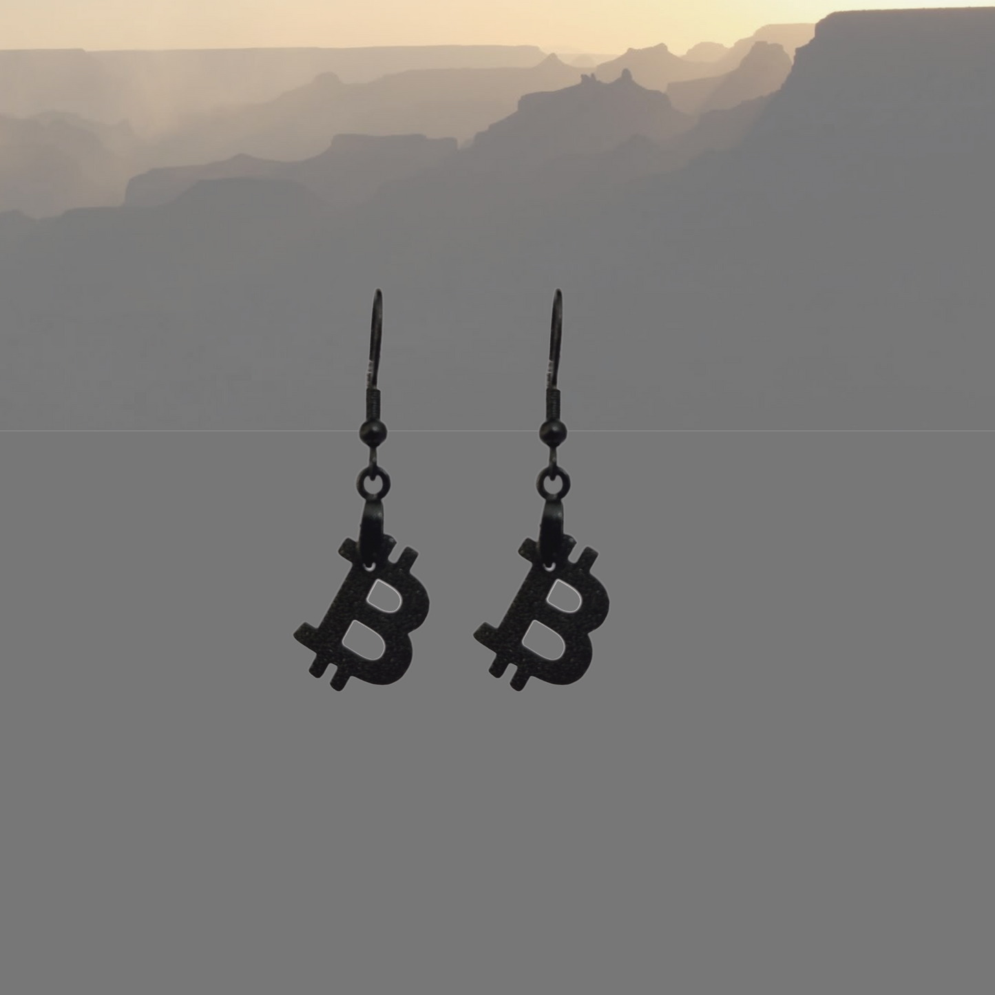 Ohrhänger "Bitcoin"